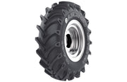 ASCENSO TDB 120 - 13.6x24