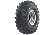 ASCENSO TDB 124 - 24.5x32