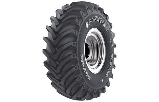 ASCENSO TDB 124 - 24.5x32