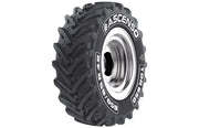 ASCENSO TDR 650 - 540/65R24