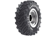 ASCENSO XLR 880 - 710/70R38