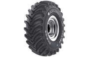 Ascenso  TDB124 12P  TL Tractor Drive, R-1 24.5-32