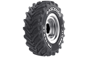 Ascenso  XLR880 178D  TL Tractor Drive, R-1W 800/70R38